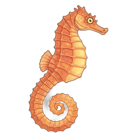 Seahorse